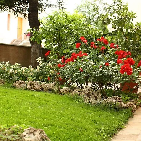 Igea 50 3*