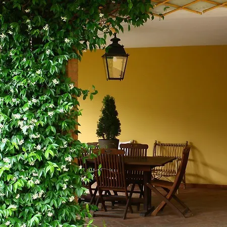 Igea 50 Bed & Breakfast