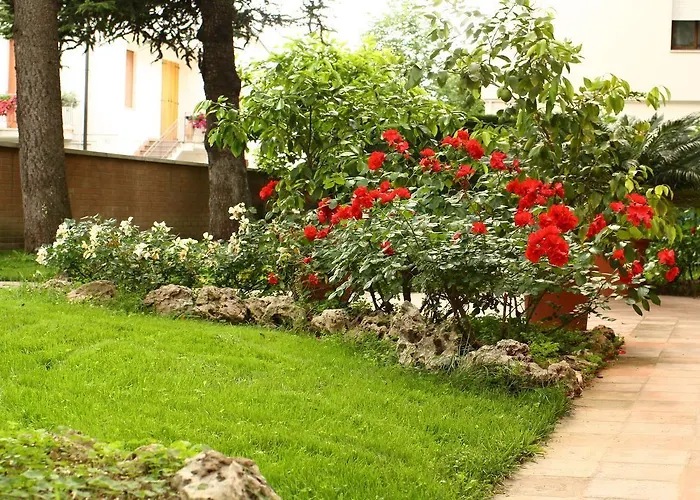 伊格50号住宿加早餐酒店 3*