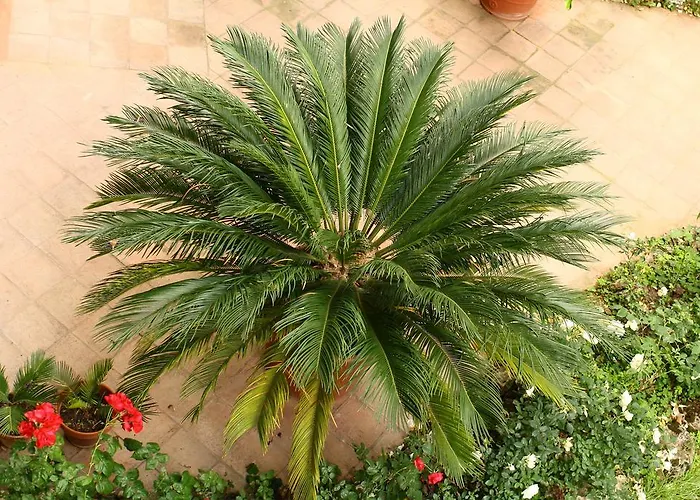 Bed & Breakfast Igea 50 3*