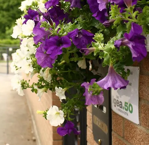 Bed & Breakfast Igea 50